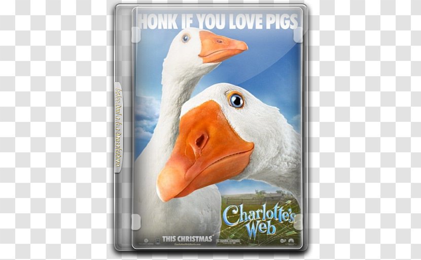 Charlotte's Web Charlotte A. Cavatica Film YouTube Actor - Beak Transparent PNG