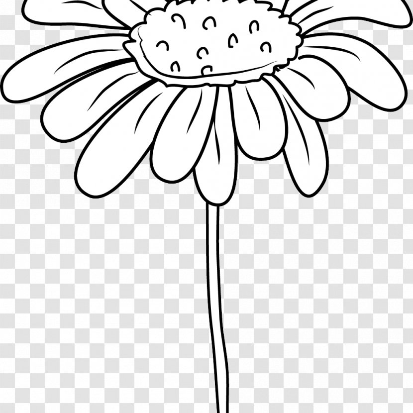 Clip Art Drawing Coloring Book Image - Flower - Black And White Daisy Transparent PNG
