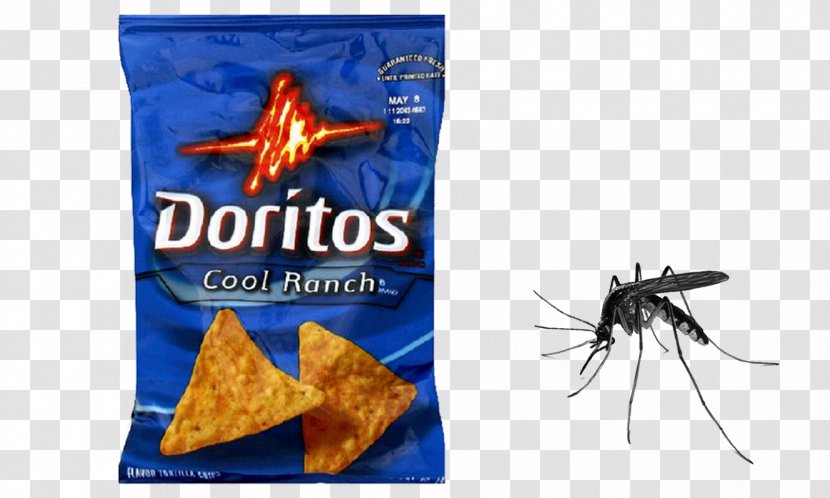 Nachos Doritos Flavored Tortilla Chips Cool Ranch 1.75 Ounce Pack Of 64 Potato Chip - Corn - Mosquito Net Transparent PNG