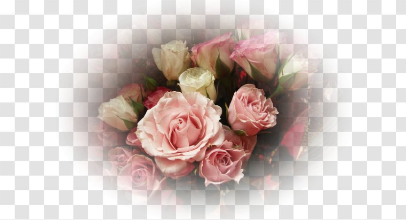 Greeting & Note Cards Birthday Cake Wish Wedding Invitation - Rosa Centifolia Transparent PNG