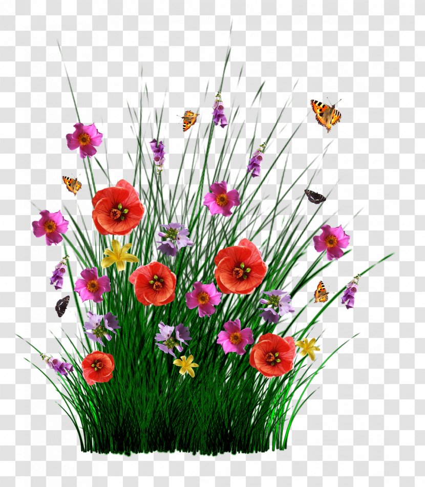 Tio Simplício Download - Wildflower - Field Of Flowers Transparent PNG