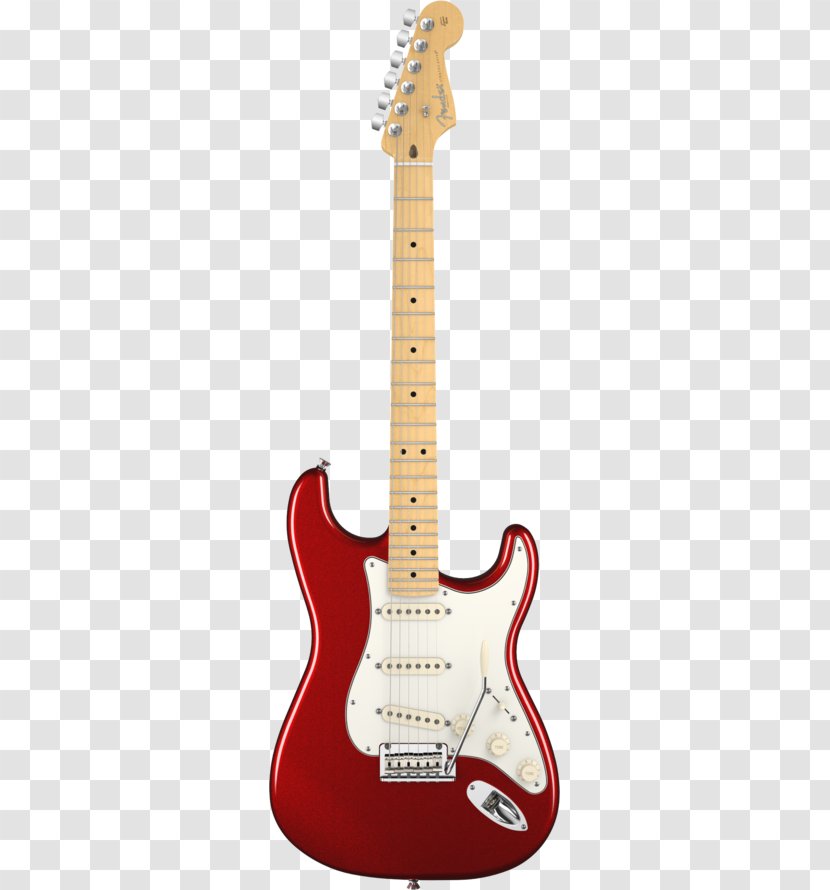 Fender Stratocaster The STRAT Standard Guitar Elite - Fingerboard Transparent PNG