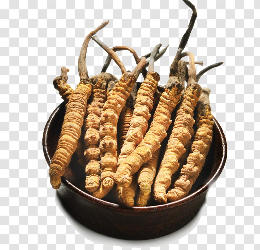 Caterpillar Fungus Traditional Chinese Medicine Alibaba Group Crude Drug - Food - Natural Herbs Cordyceps Transparent PNG