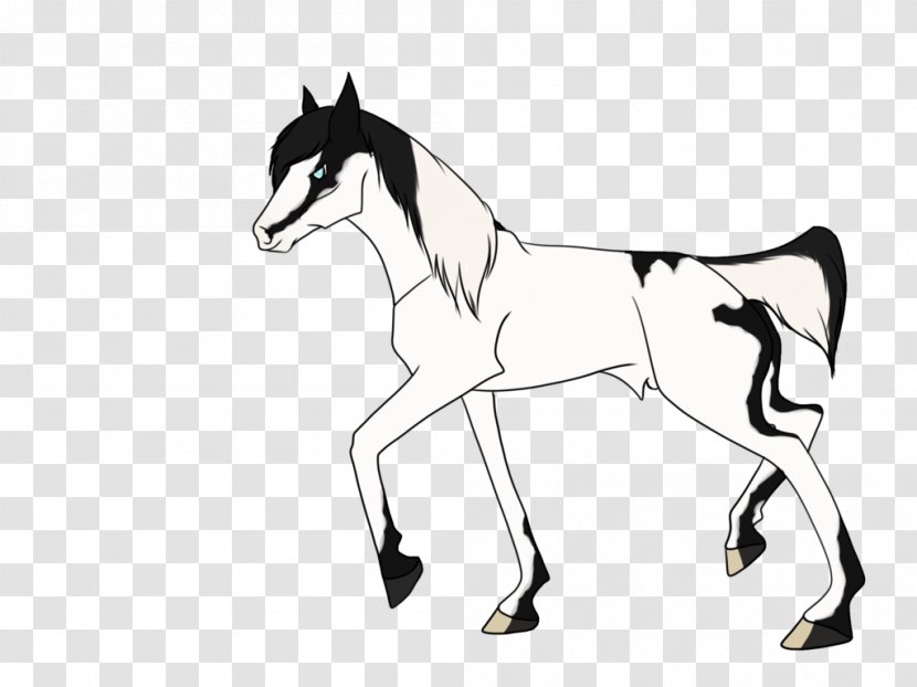 Mule Foal Halter Mustang Stallion - Romeo And Juliet Coloring Page Black Transparent PNG