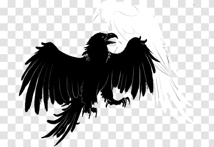 Rooster Bald Eagle Beak Vulture Feather Transparent PNG