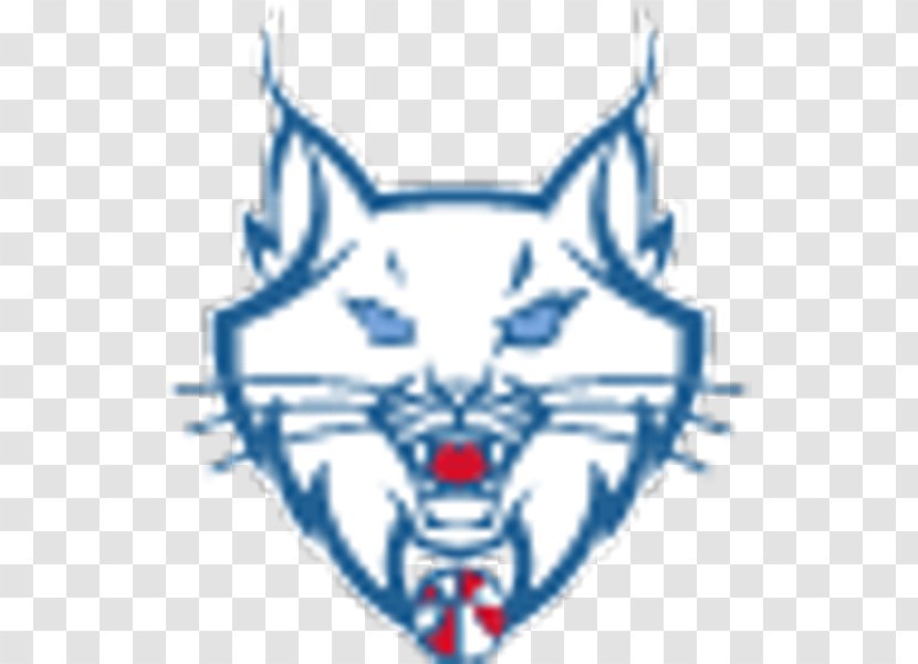 Minnesota Lynx Timberwolves New York Liberty Los Angeles Sparks - Wnba Playoffs - Wing Transparent PNG