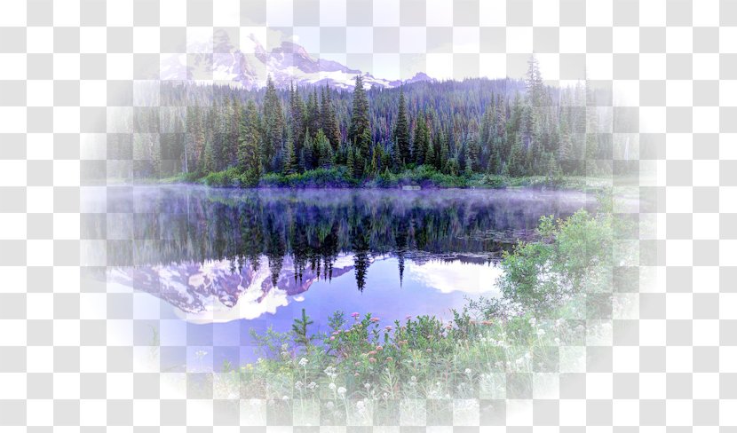 Cartoon Nature Background - Sky - Forest Pond Transparent PNG