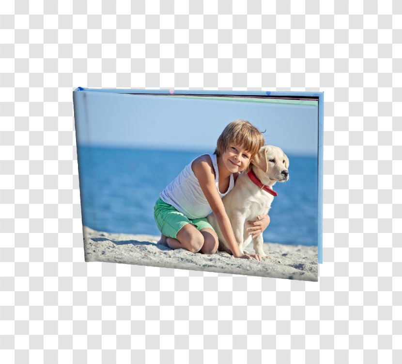 Hardcover Paperback Photo-book Book Cover Transparent PNG