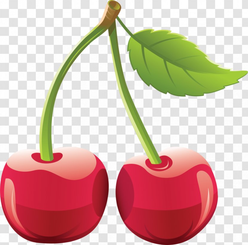 Clip Art Cherry Openclipart Vector Graphics Image - Malpighia Transparent PNG