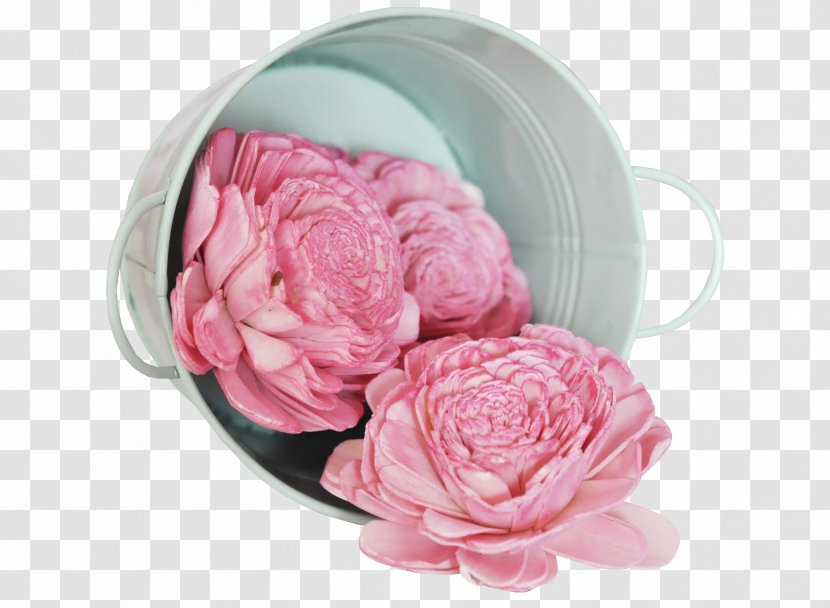 Centifolia Roses - Peony - Bucket Creative Flower Material Transparent PNG