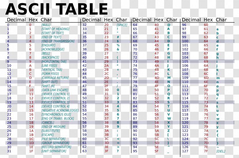 ASCII Character String Binary Code Hexadecimal - Plain Text - Programer Transparent PNG