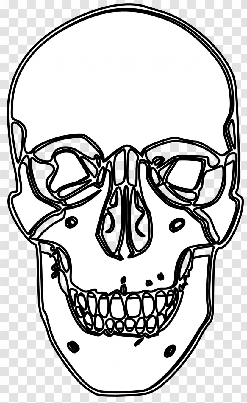 Drawing Line Art Clip - Face - Skull-drawing Transparent PNG