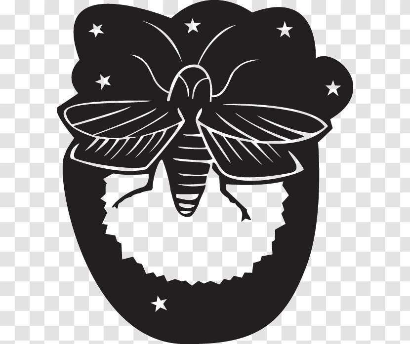 Photography Firefly Art Clip - Pollinator Transparent PNG