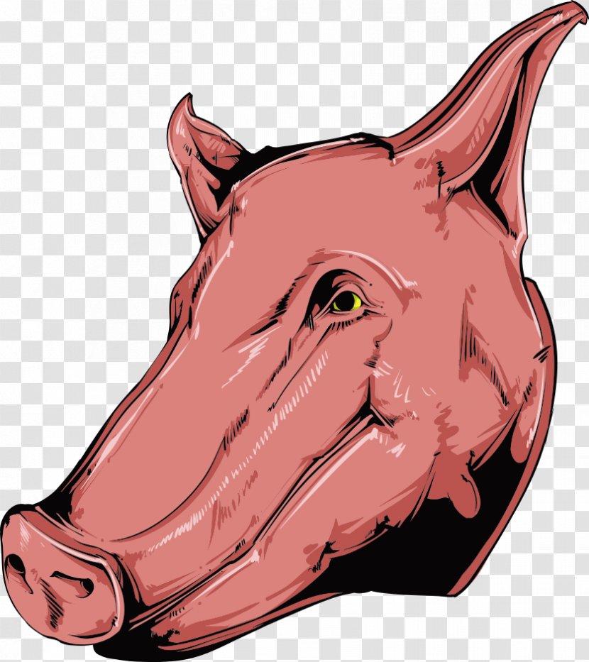 Domestic Pig Illustration - Vector Cartoon Boar Transparent PNG