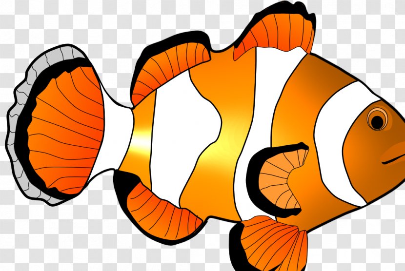 Clownfish Cartoon Clip Art - Seafood - Tail Transparent PNG