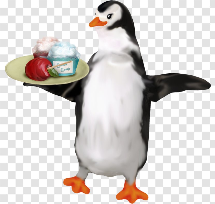 Penguin Duck Drawing - Ducks Geese And Swans - Cartoon Transparent PNG