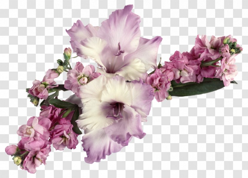 Greeting & Note Cards Ansichtkaart Friendship Gratitude Birthday - Pink - Gladiolus Transparent PNG