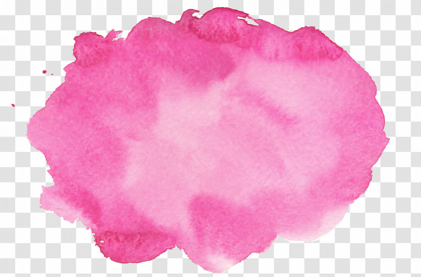 Pink Petal Magenta Transparent PNG