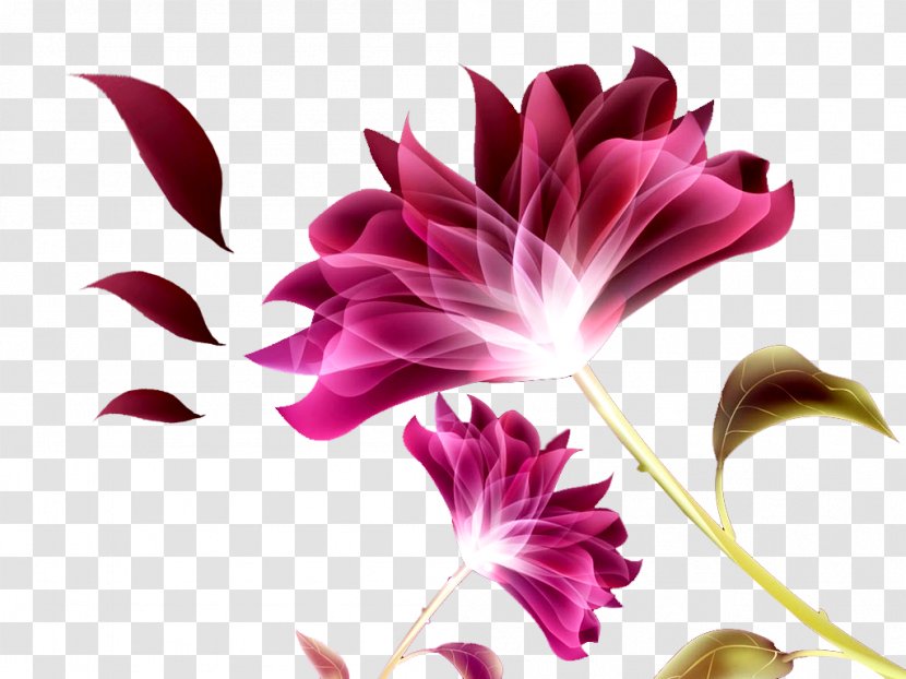 Awa Motos Shikara Agarbatties Raj Fragrance Incense Company - Cut Flowers - FLORES Transparent PNG