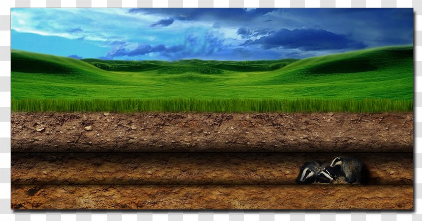 Grassland Steppe Muslim Hacker As-salamu Alaykum - Ecoregion - Terrier Transparent PNG