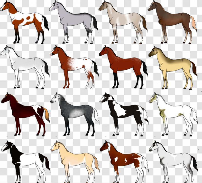 Newfoundland Dog Greater Swiss Mountain Dalmatian Horse Pomeranian - Pack Animal Transparent PNG