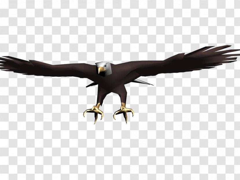 Eagle Black Hawk Transparent PNG