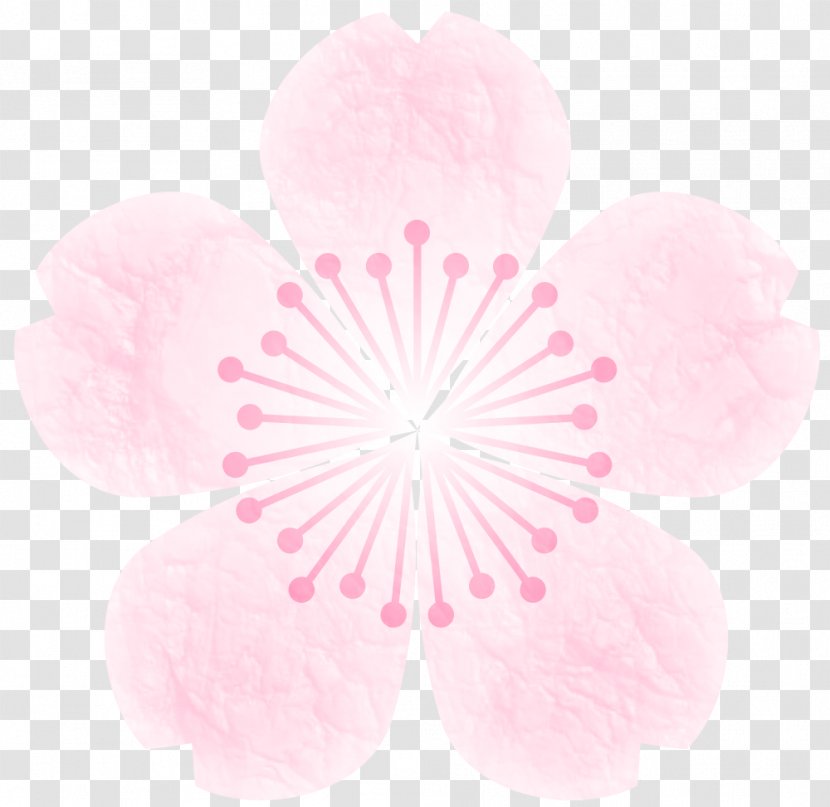 Spring Material - Plant - Cherry Transparent PNG