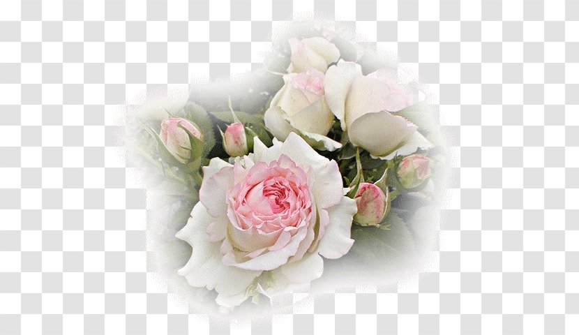 Blog Angelus .de - Flower Bouquet - Prayer Transparent PNG