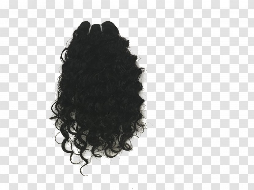 India Adored Virgin Hair Company LLC. Wig Color - Curls Transparent PNG