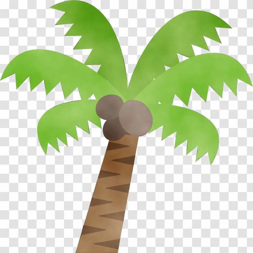 Palm Trees - Pygmy Date - Vascular Plant Houseplant Transparent PNG