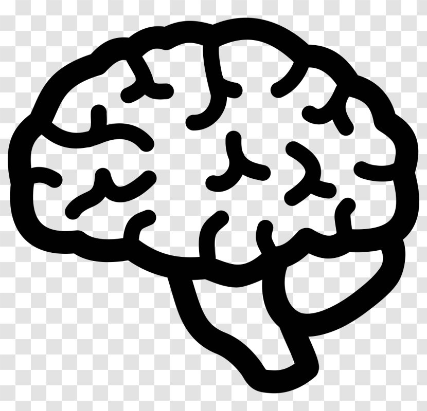 Human Brain Lateralization Of Function Clip Art - Tree Transparent PNG