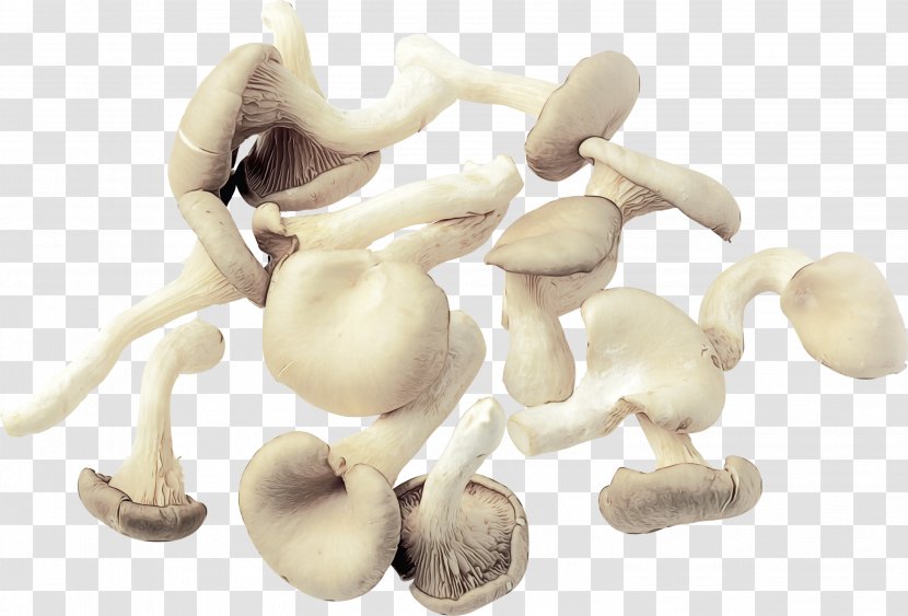 Mushroom Cartoon - Edible - Bone Animal Figure Transparent PNG