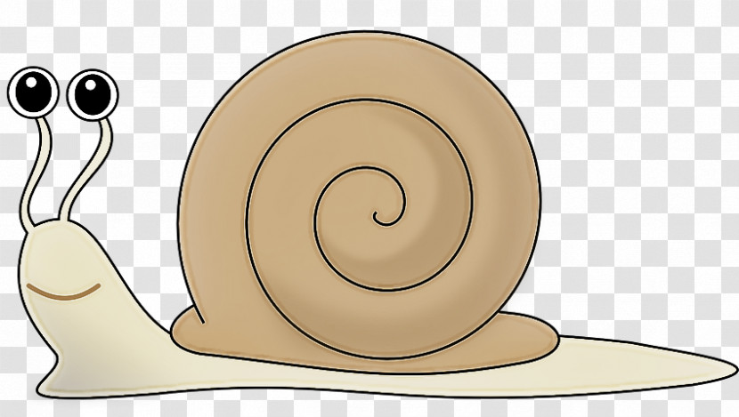 Snails And Slugs Snail Sea Snail Slug Spiral Transparent PNG