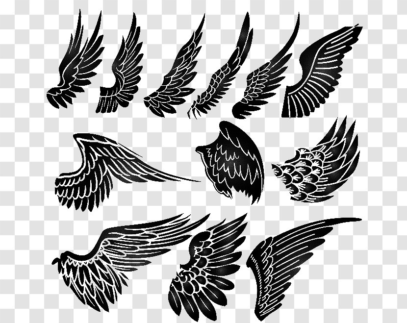 Tattoo Artist Flash Angel - Beak Transparent PNG