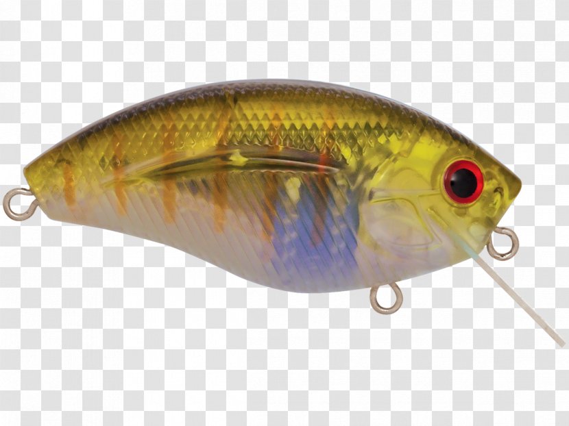 Perch Spoon Lure Fish AC Power Plugs And Sockets - Fishing Bait - Largemouth Bass Transparent PNG
