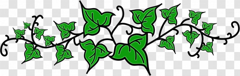 Ivy - Leaf - Flower Transparent PNG