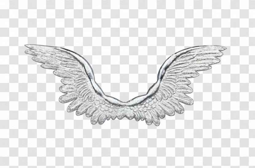 Clip Art - Wing - Drawing Transparent PNG