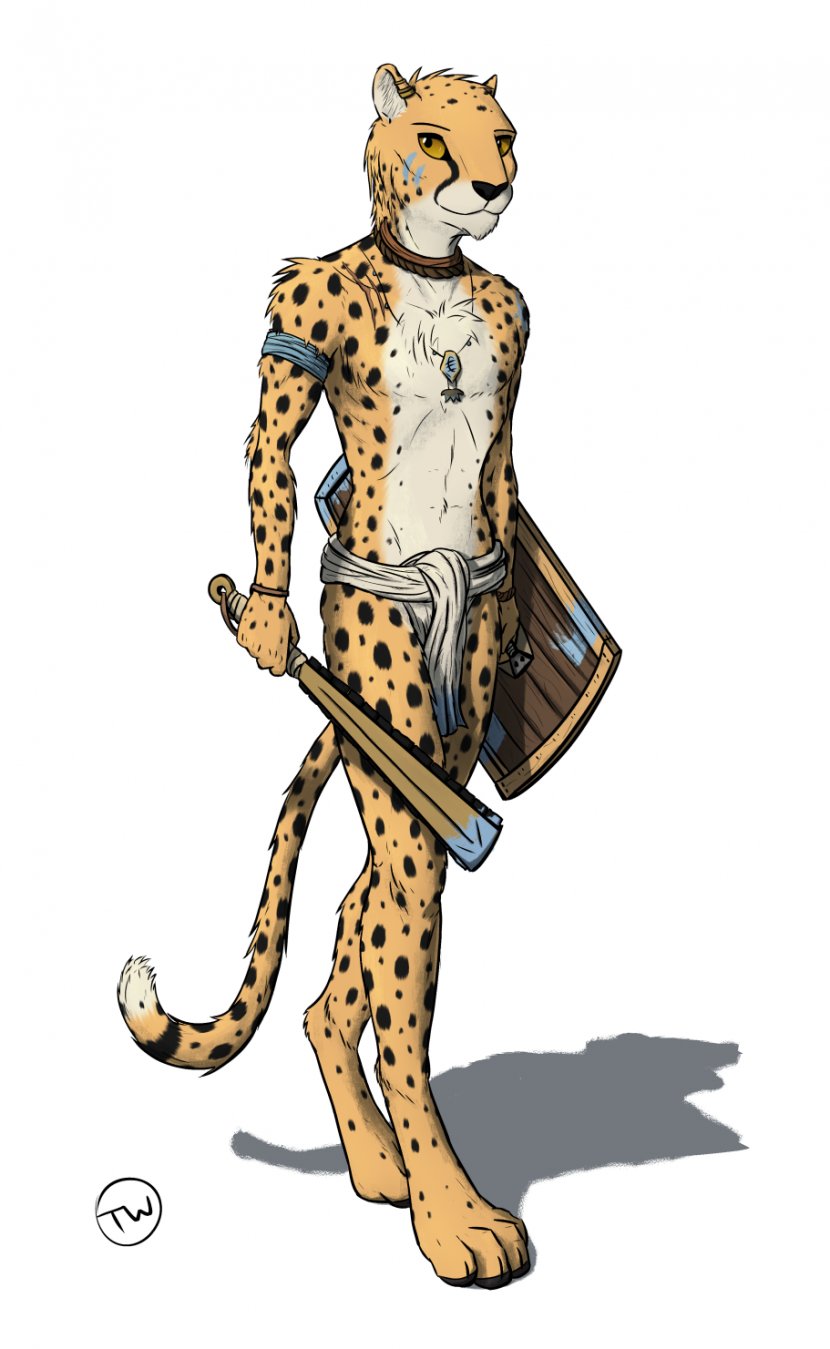 Cheetah Felidae Leopard Tiger Male - Big Cats Transparent PNG