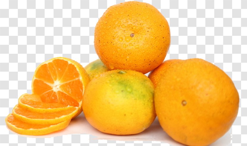 Clementine Mandarin Orange Tangelo Lemon Rangpur - A Lot Of Sweet Oranges Transparent PNG