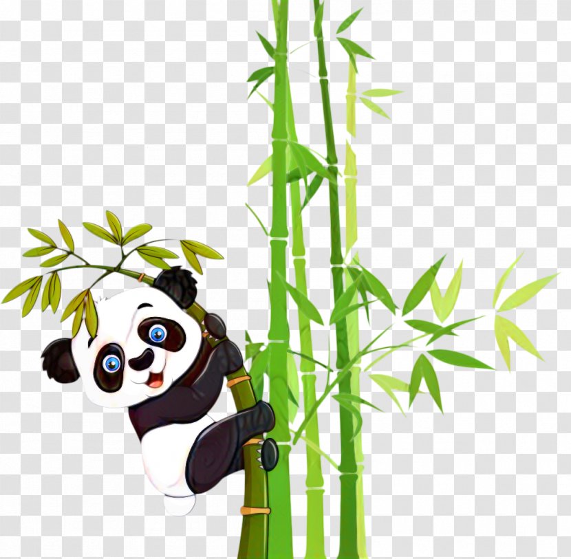 Giant Panda Bamboo Clip Art Bear - Cartoon Transparent PNG