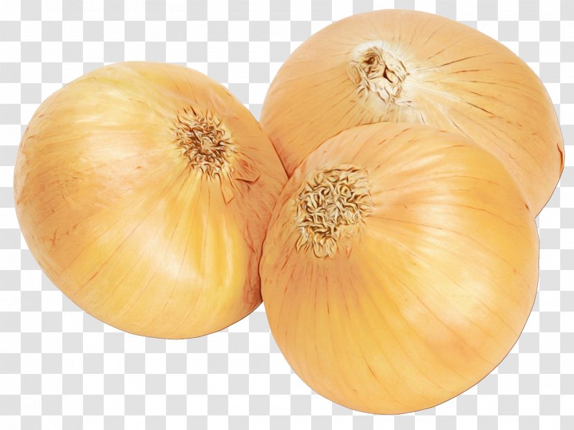 Yellow Onion Vegetable Red Image - Vegetarian Cuisine - Food Transparent PNG