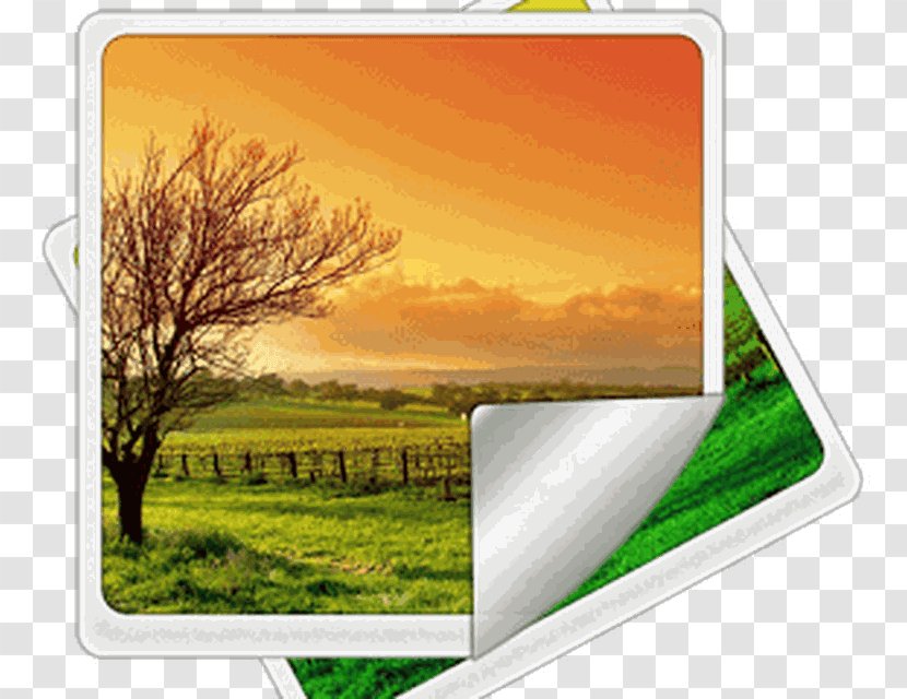 Mural Landscape Photography Wall Wallpaper - Decorative Arts Transparent PNG