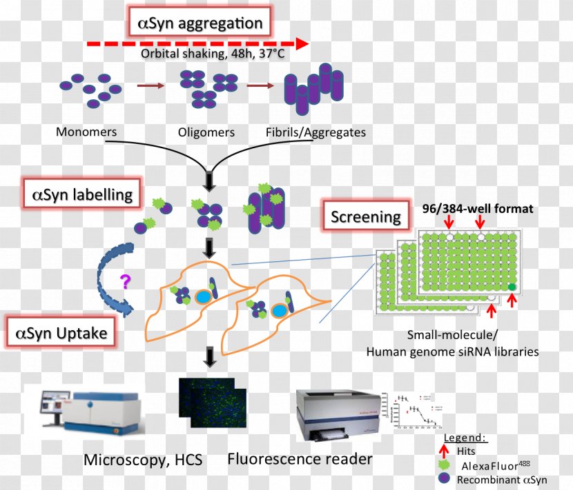 Line Technology Point - Pathology Lab Transparent PNG