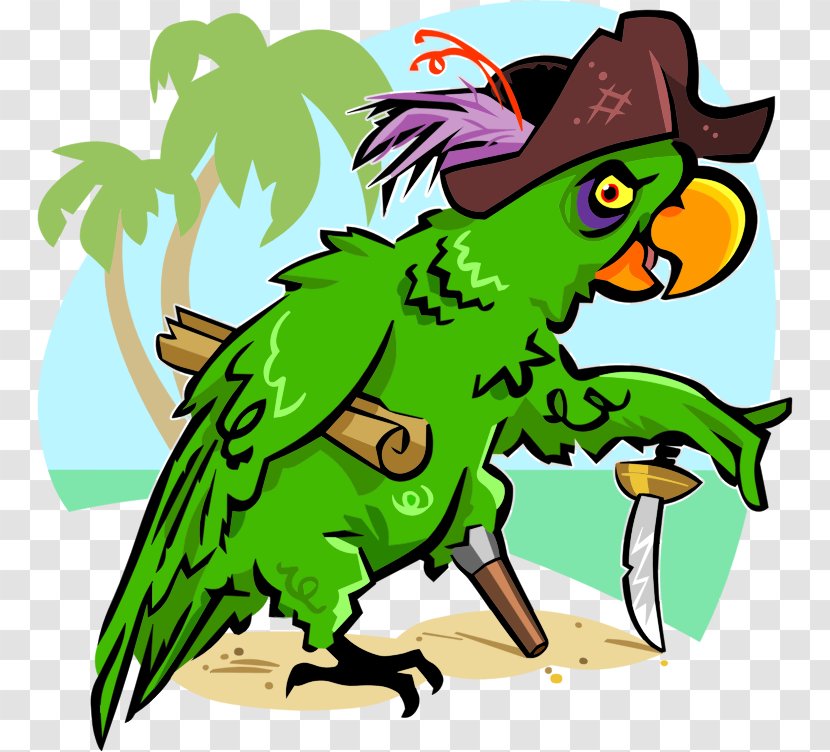 Bird Cockatoo Pirate Parrot Piracy Cartoon - Macaw Transparent PNG
