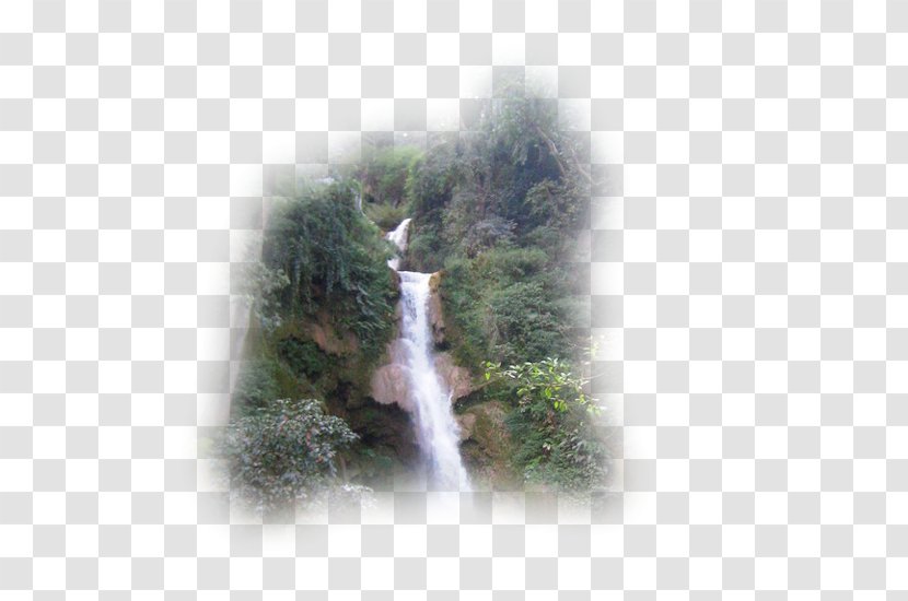 Waterfall Kuang Si Falls Water Resources Tree Transparent PNG