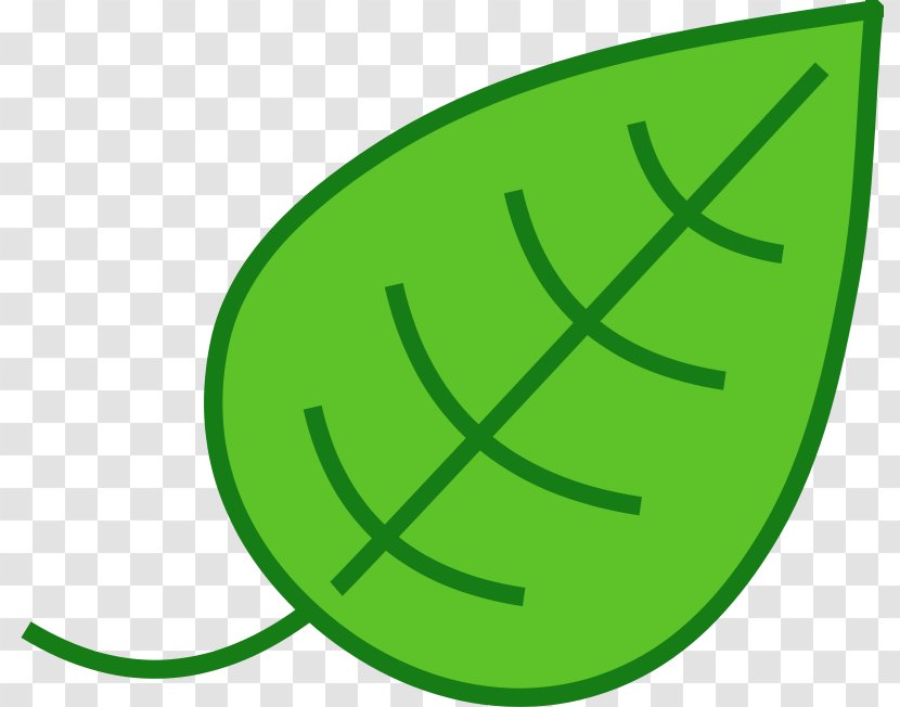 Free Content Leaf Website Clip Art - Chlorophyll - Big Leaves Cliparts Transparent PNG