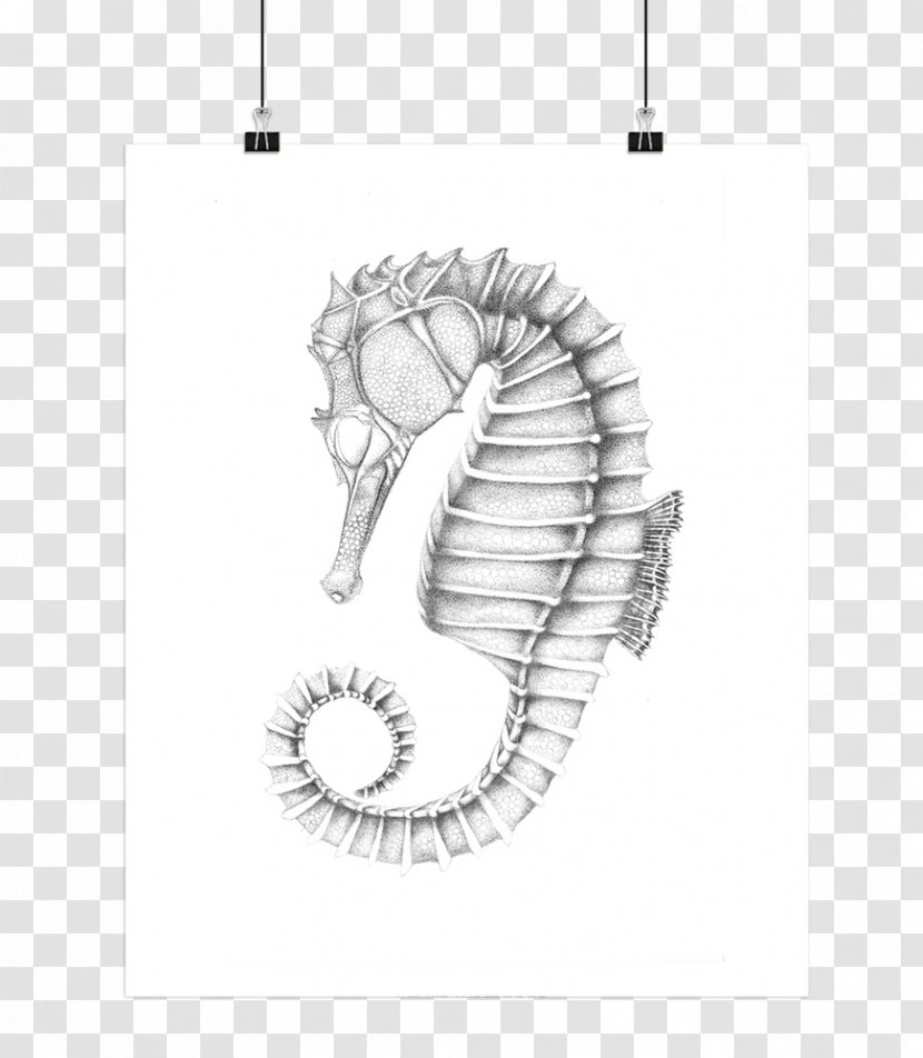 Seahorse Poster Text - Monochrome Transparent PNG