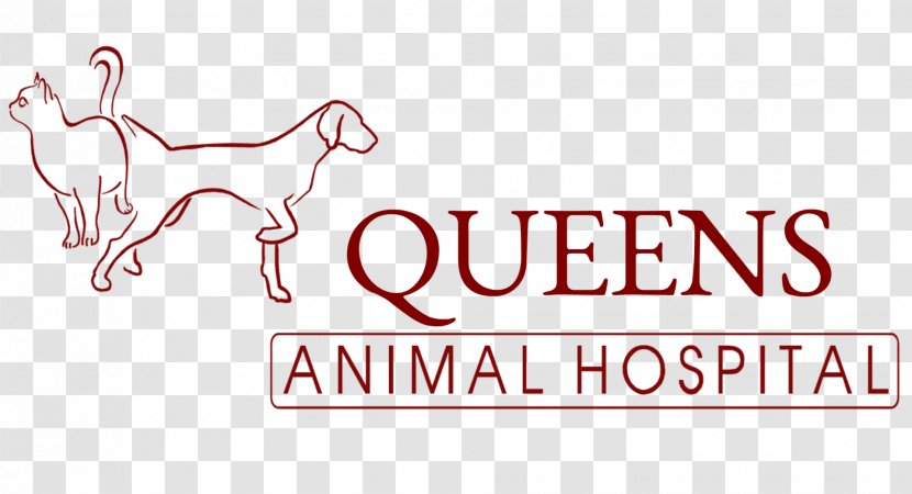 Queens Animal Hospital Dog Veterinarian Clinique Vétérinaire Veterinary Medicine - Flower Transparent PNG