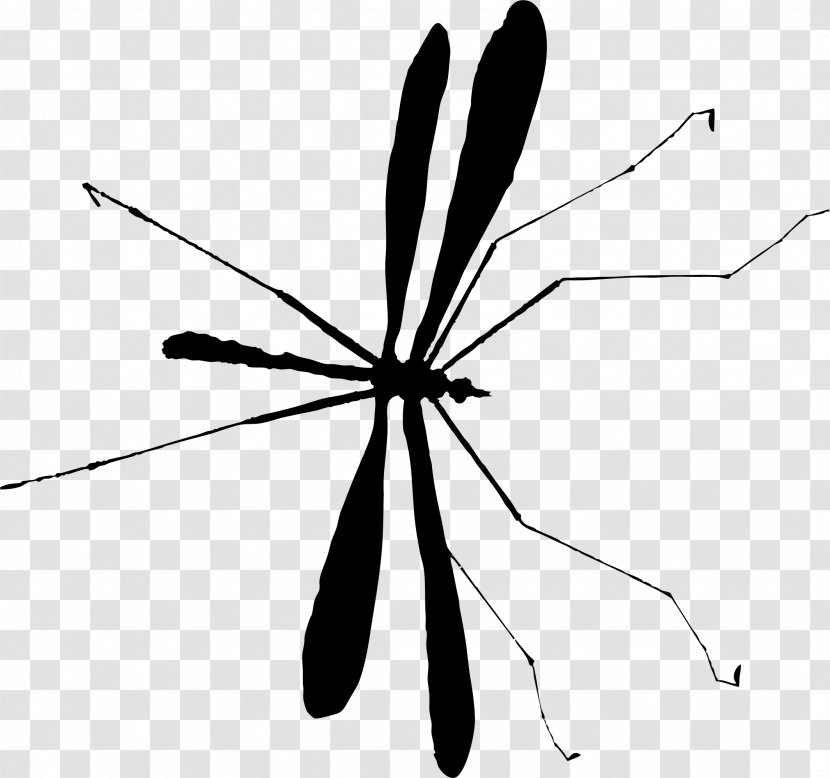 Mosquito Insect M / 0d Black & White - Membranewinged - Butterfly Transparent PNG