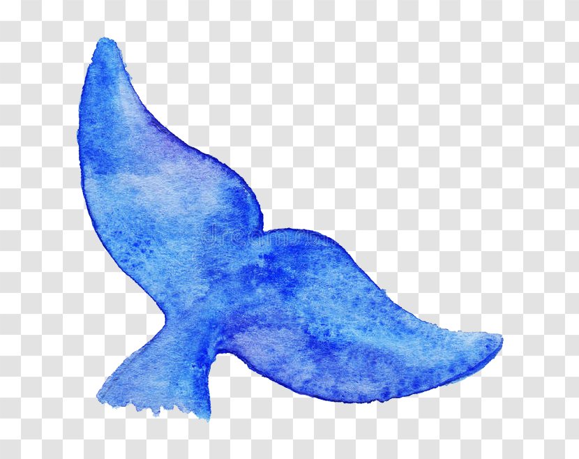 Royalty-free Blue Whale Drawing Illustration - Tail - Cartoon Fish Transparent PNG
